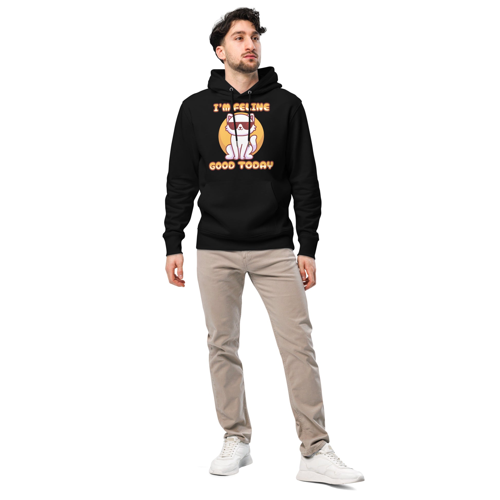 Funny Cat Hoodie – I'm Feline Good Today (Cool Edition) - JollyKitties