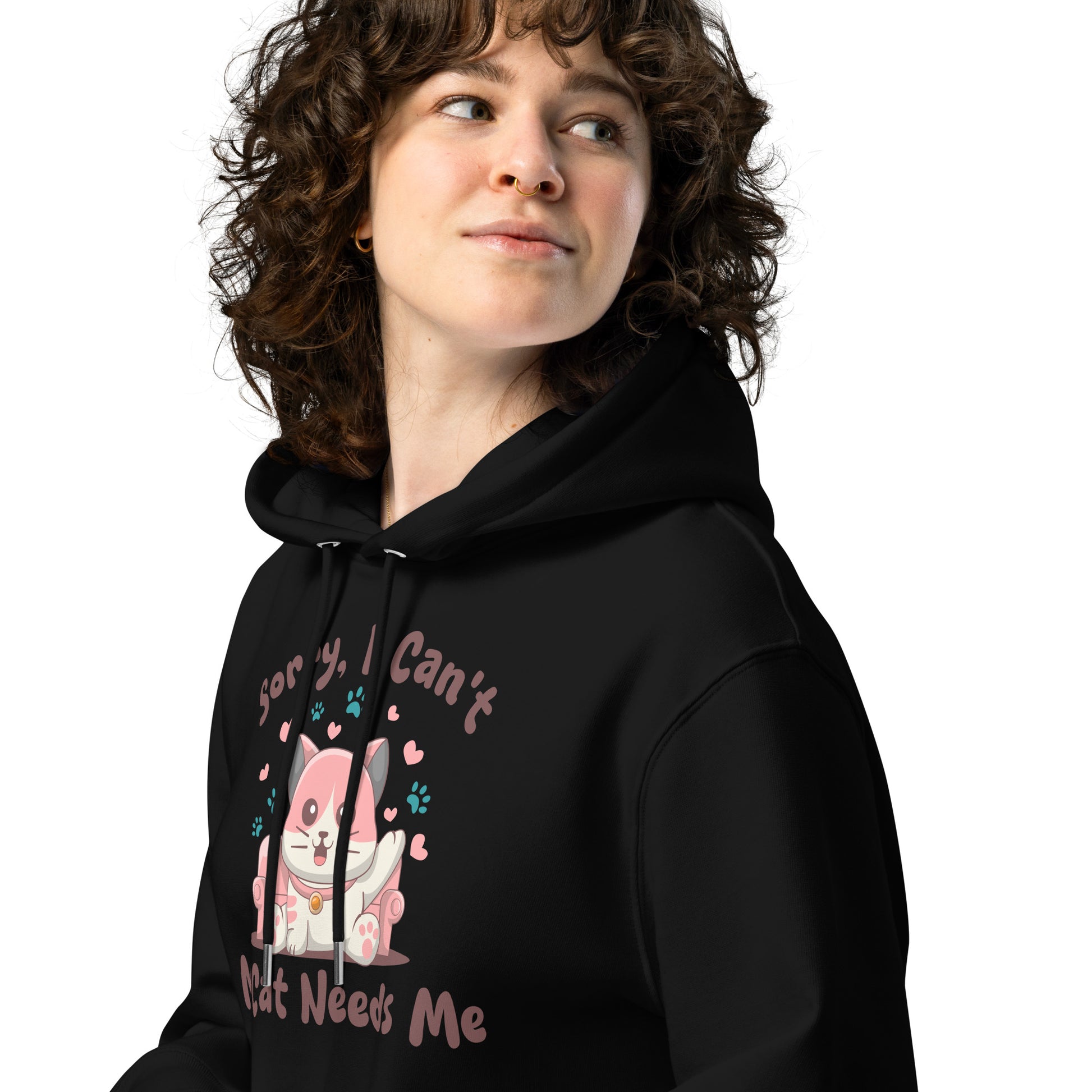 Funny Cat Hoodie – Not Today Hooman - JollyKitties