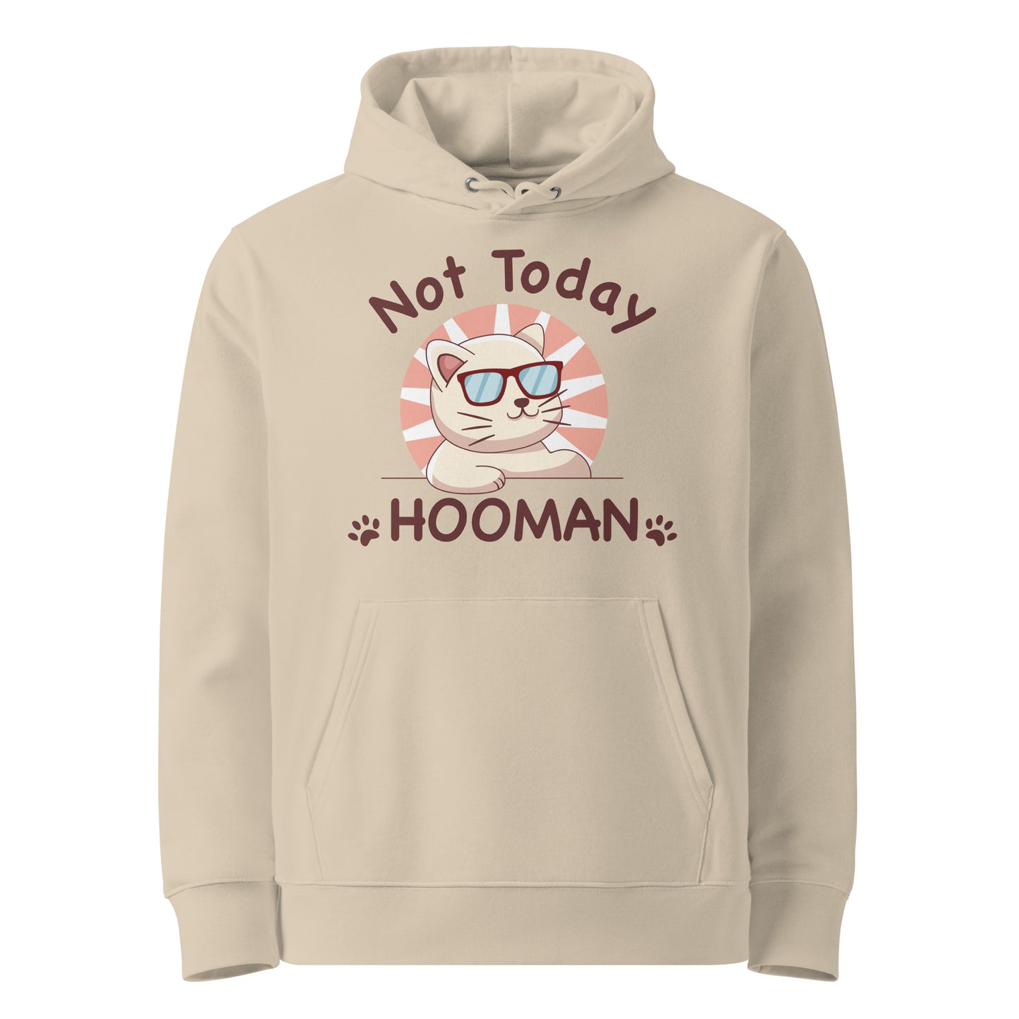 Funny Cat Hoodie – Not Today Hooman - JollyKitties