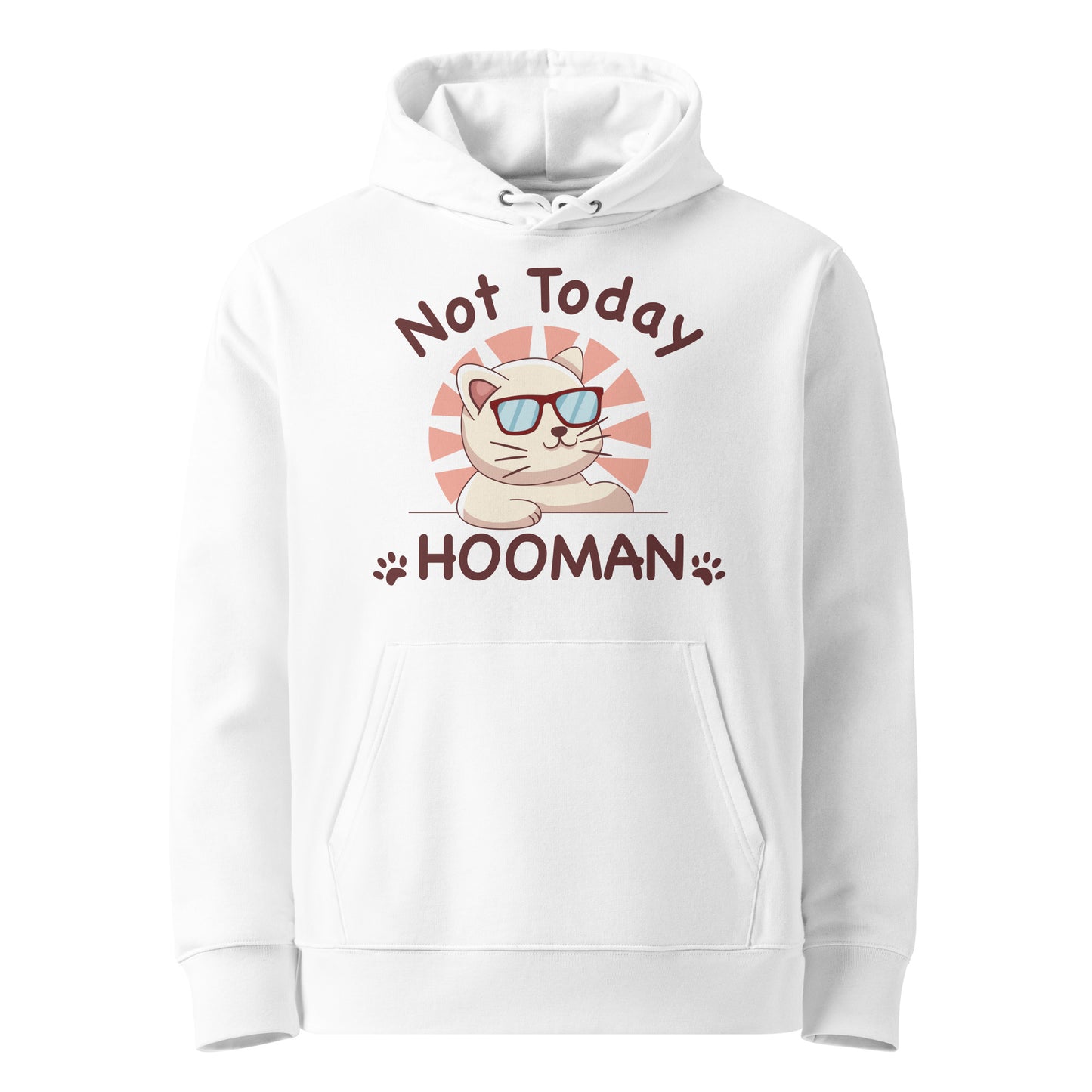 Funny Cat Hoodie – Not Today Hooman - JollyKitties