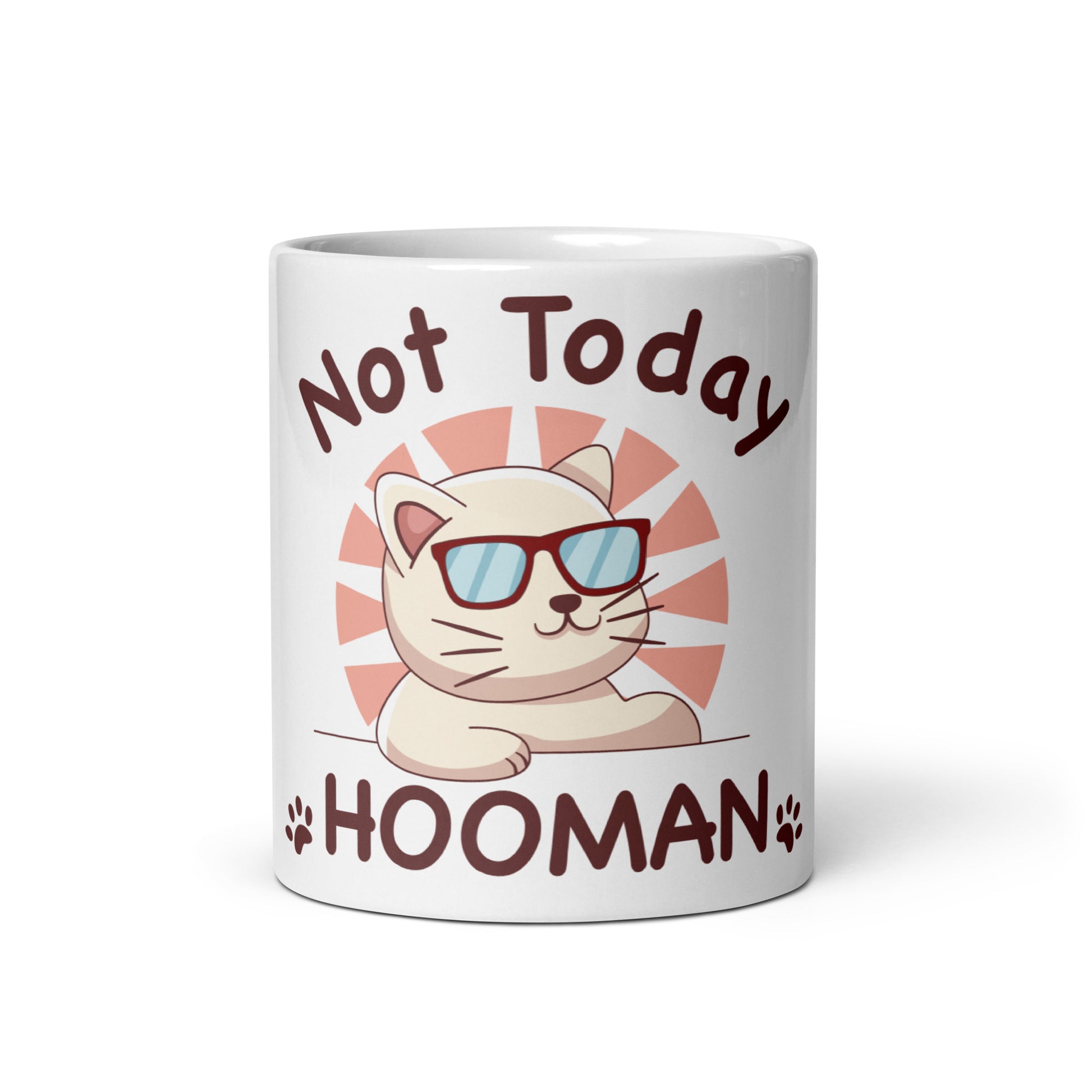 Funny Cat Mug – Not Today Hooman - JollyKitties